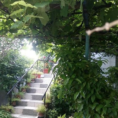 Отель Свети Никола Синеморец Экстерьер фото